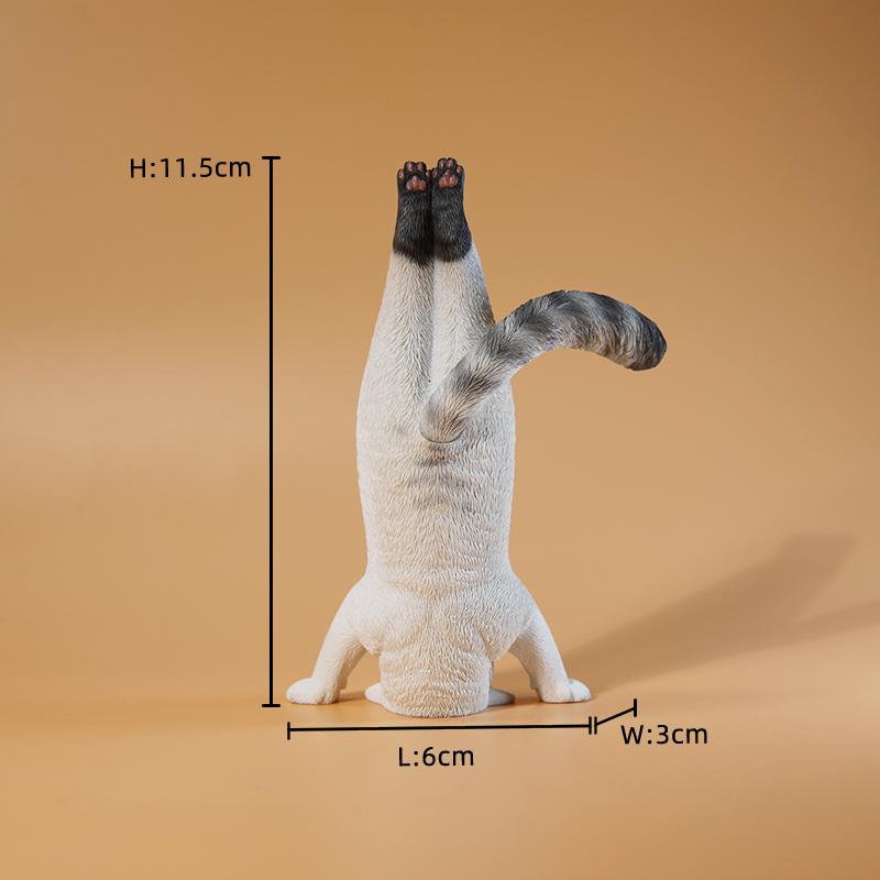 1/6 Scale Mini Simulated Fitne - đánh giá và giá Kids Yoga Toys